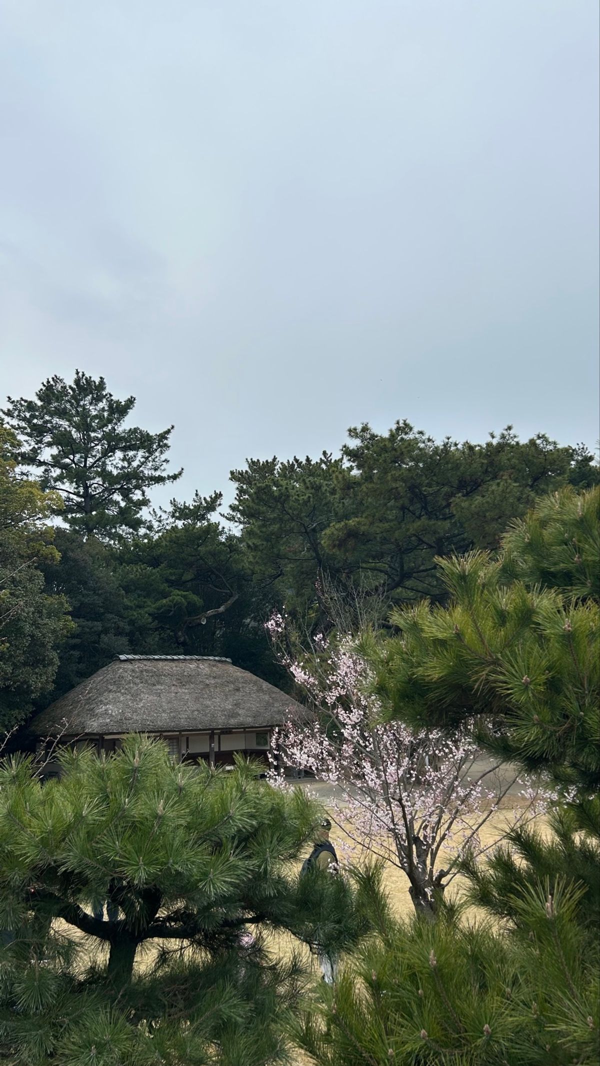 栗林公園へ☀️
時の流れが穏やかすぎて、川の音を聴きながら周りの景色を楽し...