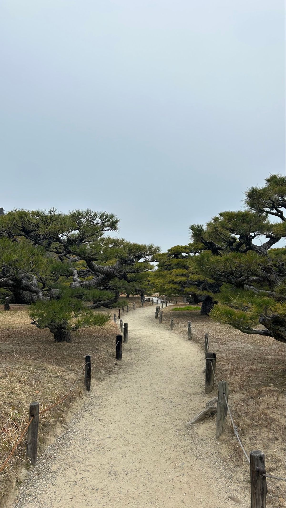 栗林公園へ☀️
時の流れが穏やかすぎて、川の音を聴きながら周りの景色を楽し...