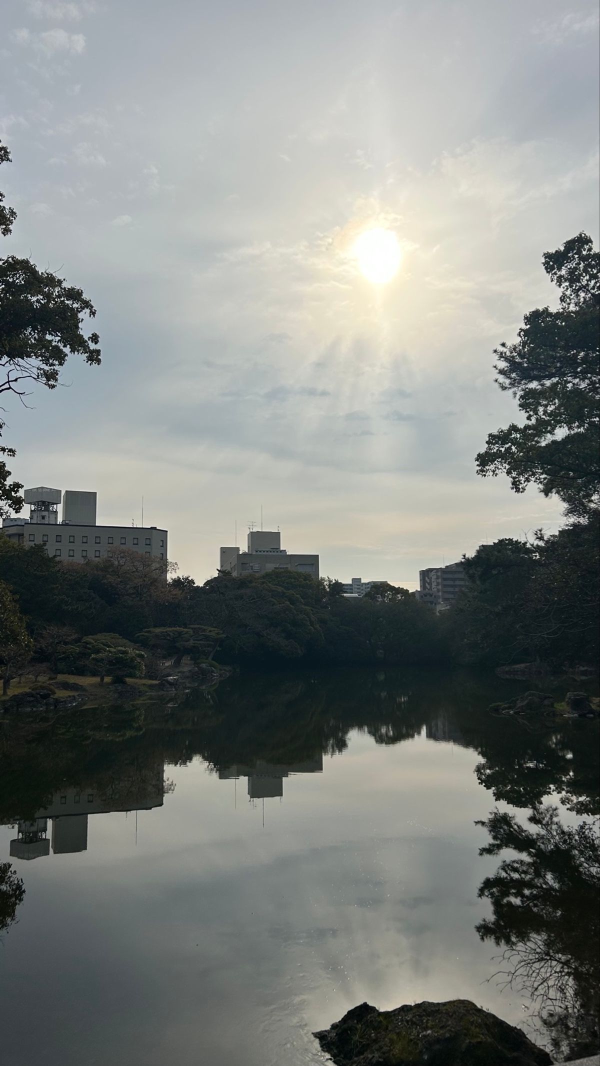 栗林公園へ☀️
時の流れが穏やかすぎて、川の音を聴きながら周りの景色を楽し...