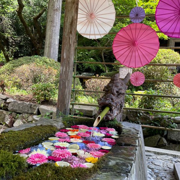 日本・宮城県「宮城県・柳津虚空蔵尊🚗」の写真