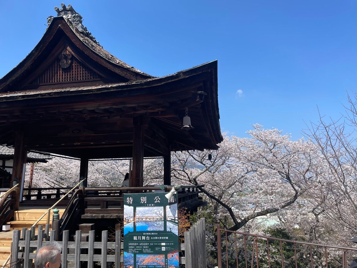 三井寺。ここは桜も見事でした。