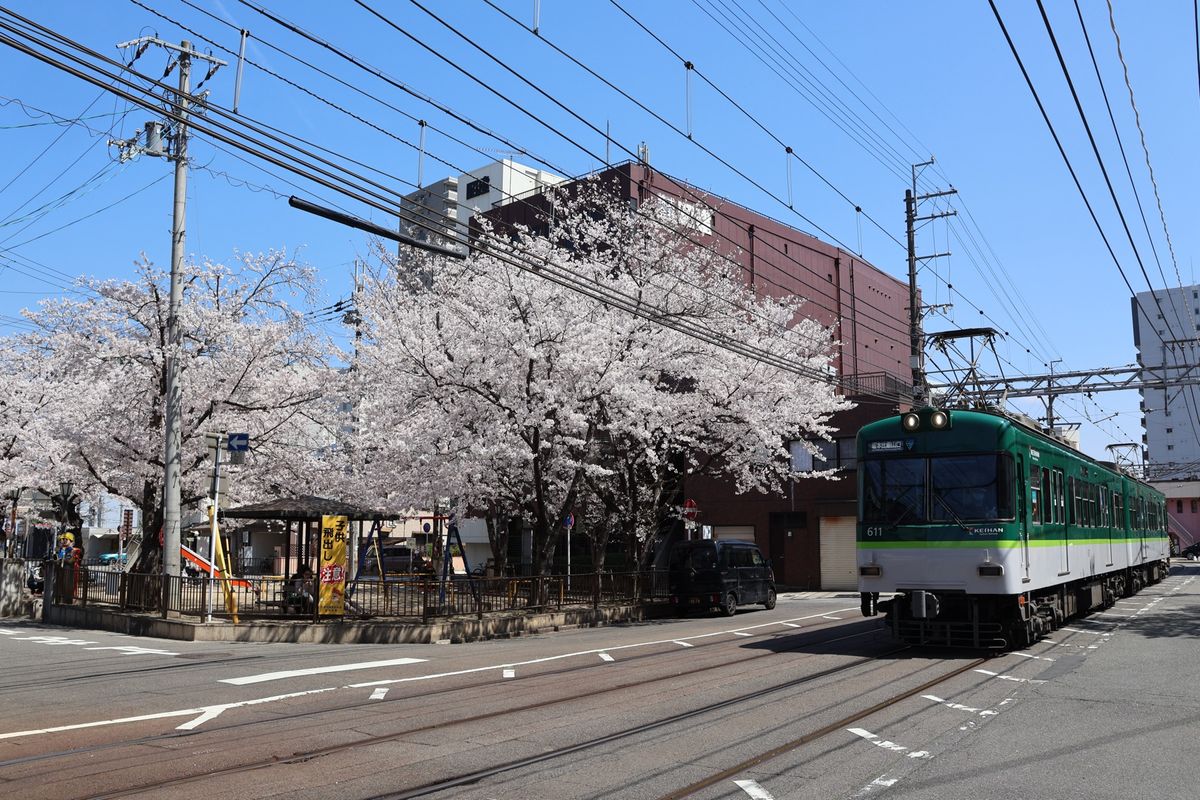 三井寺に行く途中で桜と市電