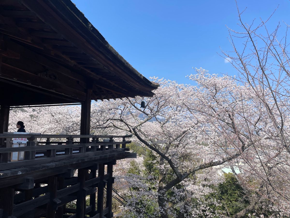 三井寺。ここは桜も見事でした。