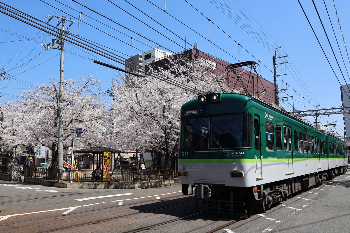 三井寺に行く途中で桜と市電