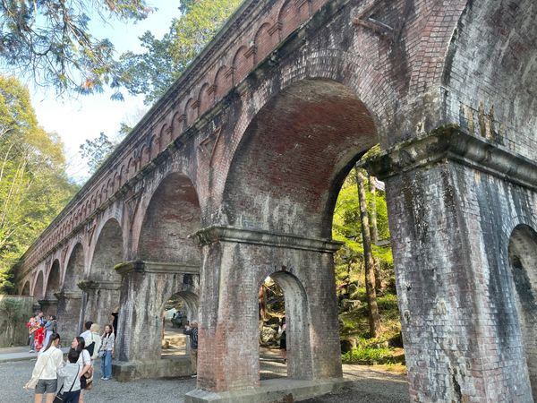 日本・京都府「大津・京都の花見旅行」の写真