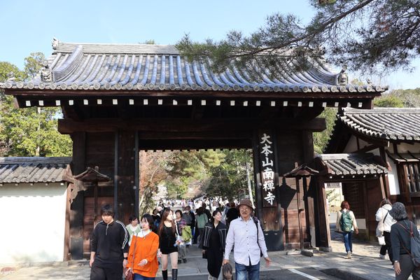 日本・京都府「大津・京都の花見旅行」の写真：南禅寺