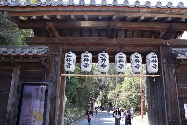 日本・京都府「大津・京都の花見旅行」の写真：三井寺。ここは桜も見事でした。