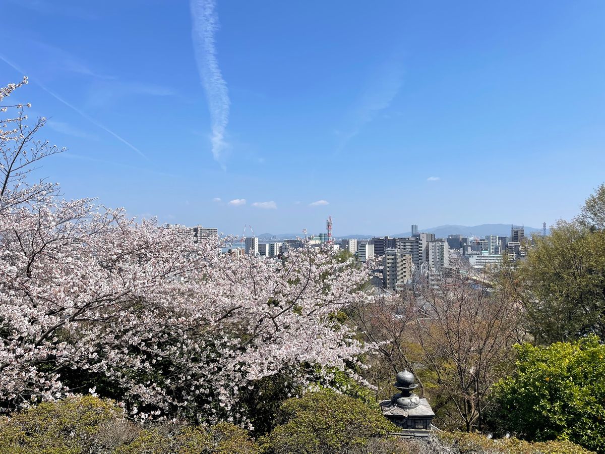 三井寺。ここは桜も見事でした。