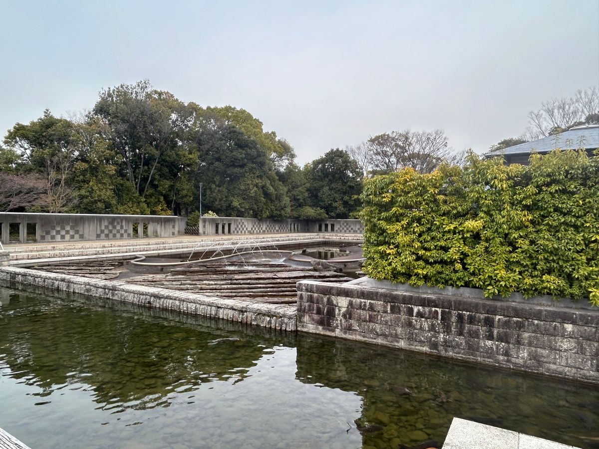 白鳥庭園も駆け足で周りました。