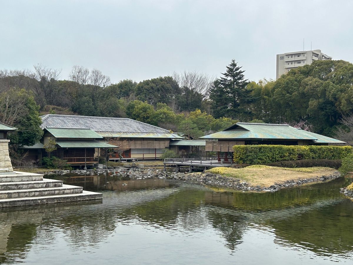白鳥庭園も駆け足で周りました。