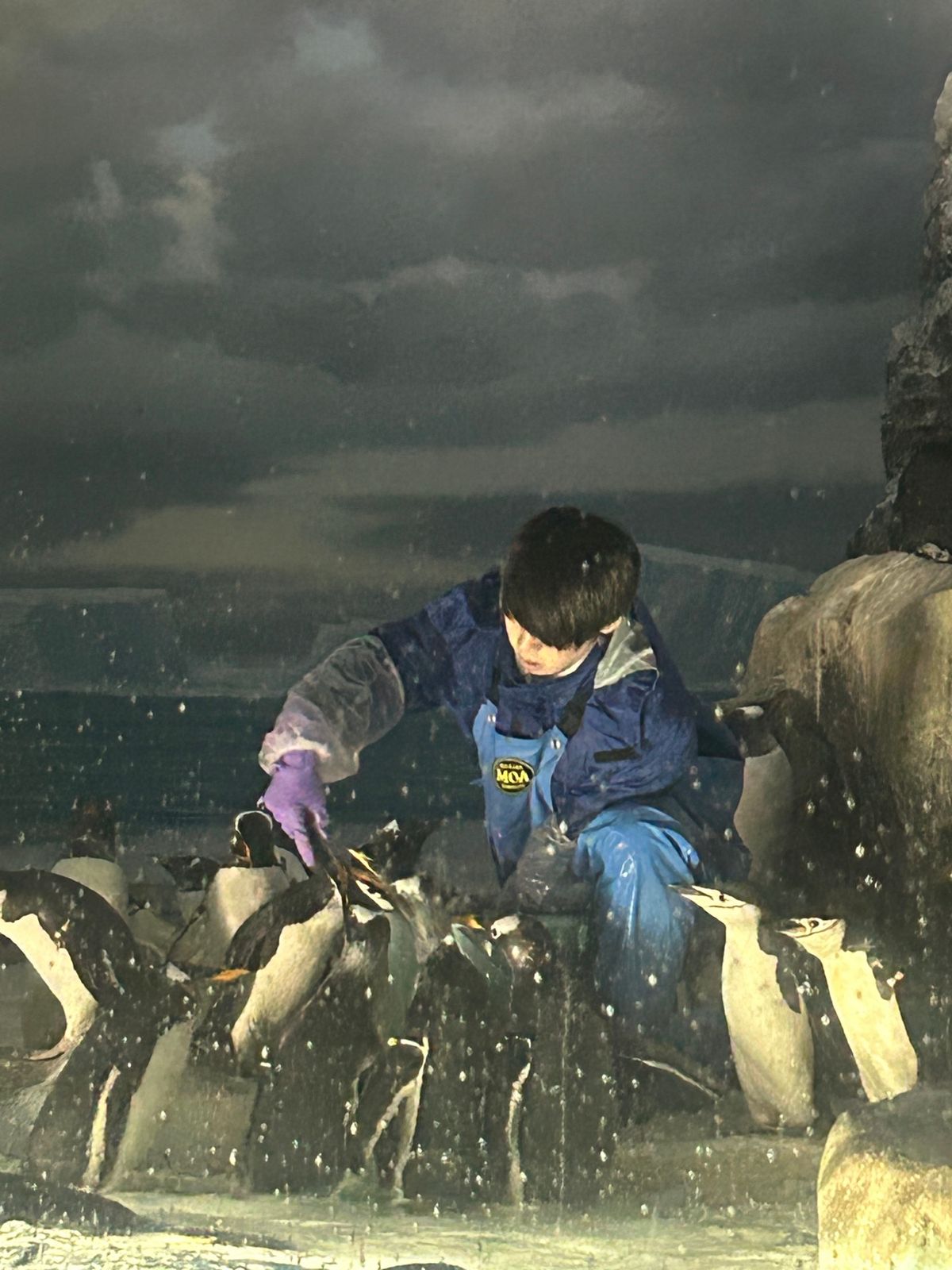 ランチの後は名古屋港水族館へ。にじさんじの栞葉るりちゃんが絶賛していたので...