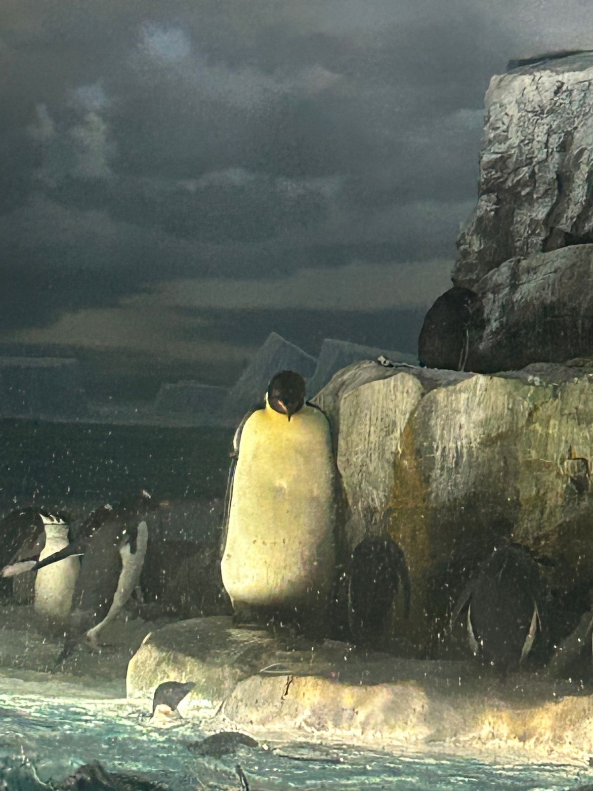 ランチの後は名古屋港水族館へ。にじさんじの栞葉るりちゃんが絶賛していたので...