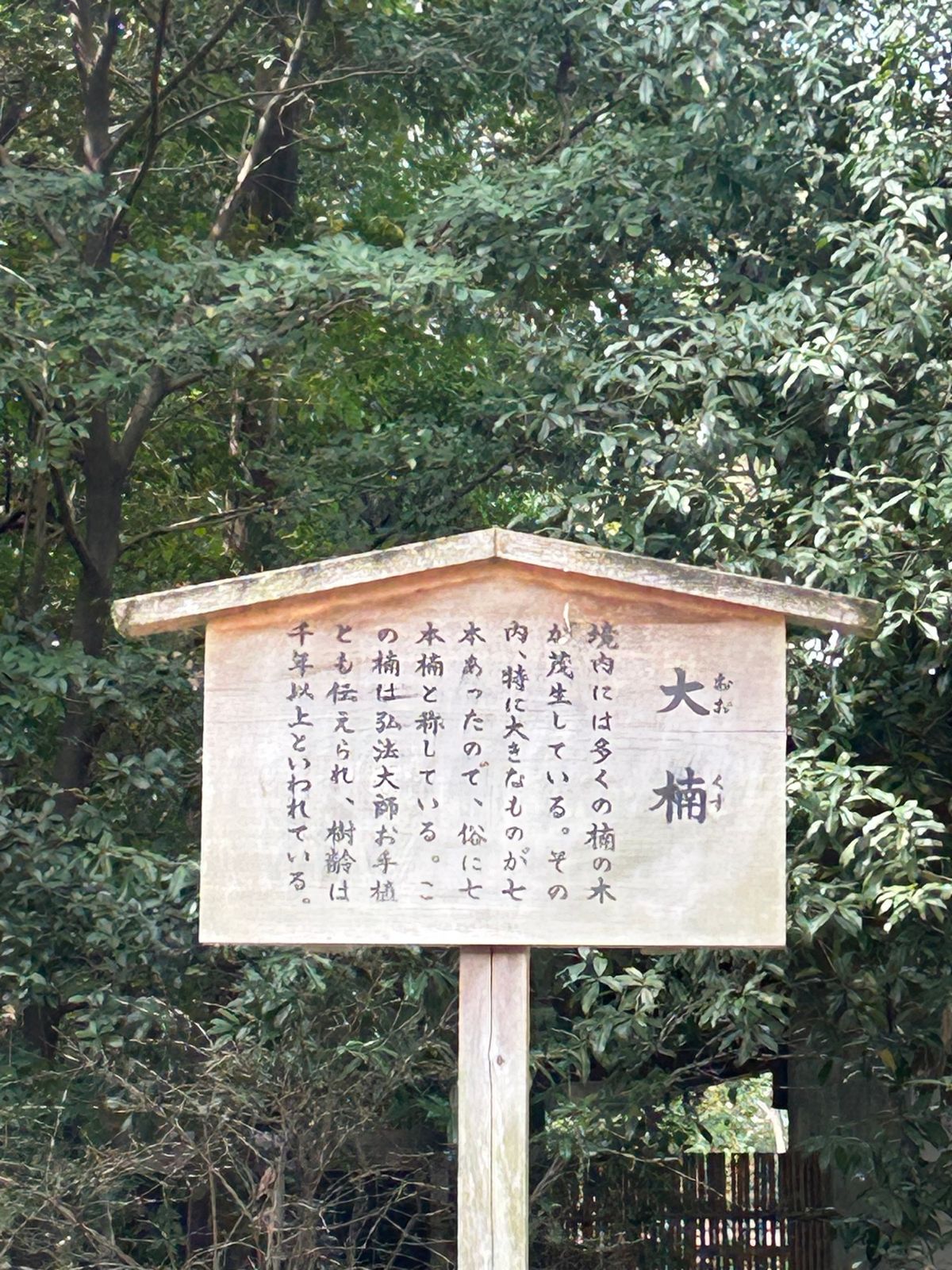 最終日、熱田神宮へ。草薙館で見た大太刀「太郎太刀」「次郎太刀」はめちゃ大き...