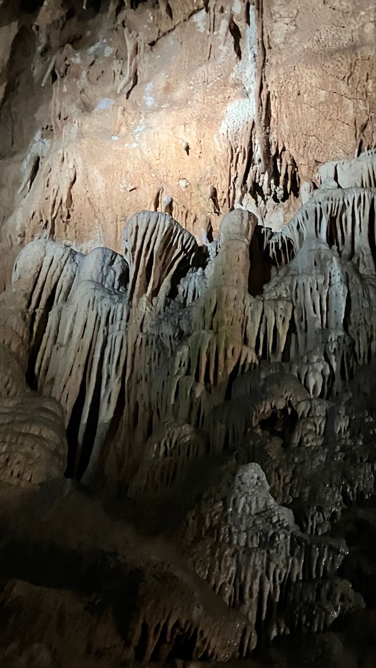 秋芳洞
圧巻の百枚皿。クラゲの大群のようなクラゲ岩。
洞窟の大きさたるや、...
