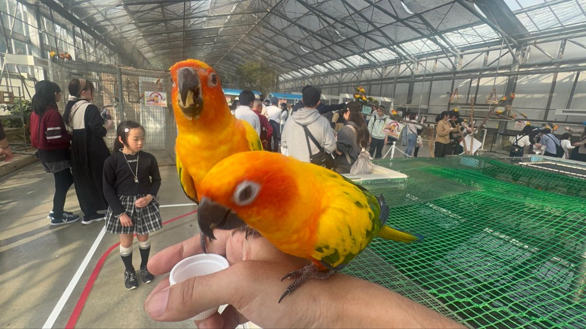 マッジで今まで行った動物園系で一番楽しかった、掛川花鳥園！

一日3回のバ...