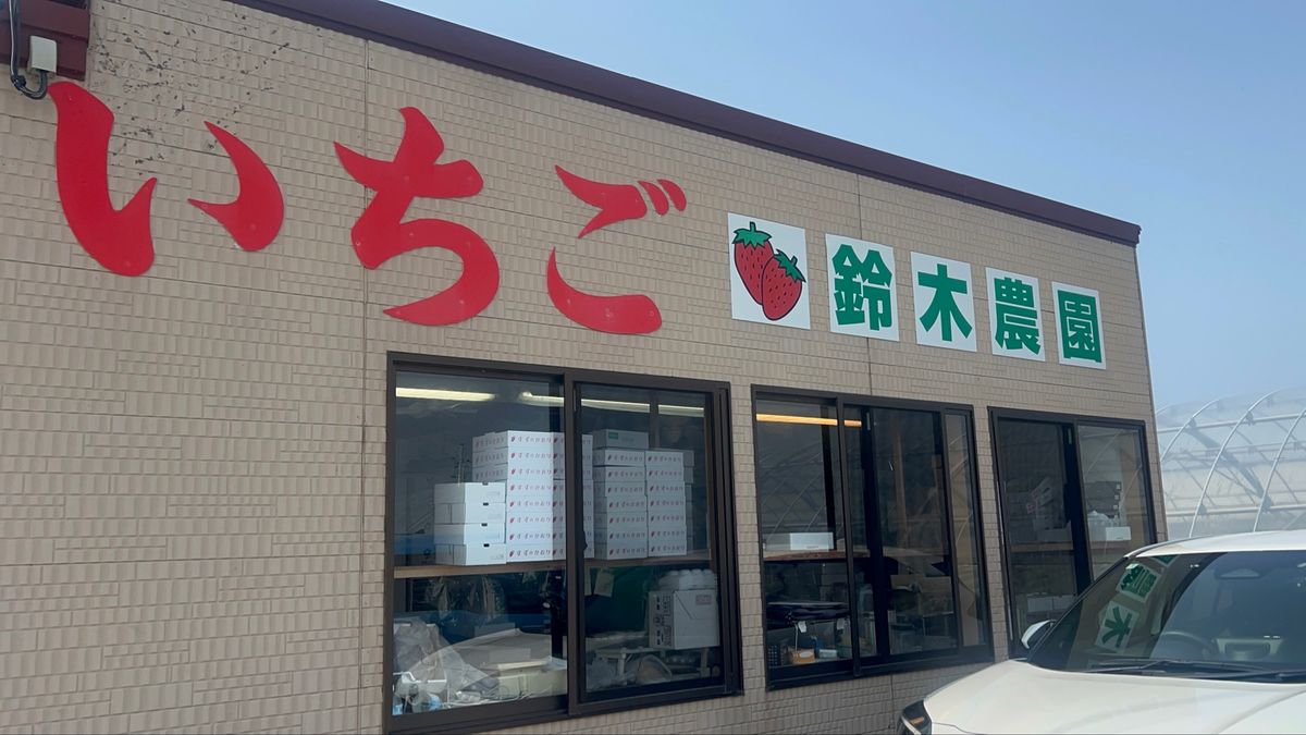 なんか知らんけどいちご狩りも。
いちご狩りがしたかったらしいが、東京付近で...