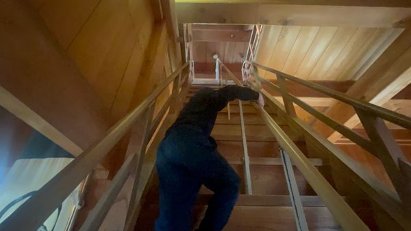 日本・静岡県「春休み旅行2026」の写真：掛川城も行った。
百名城のうちの一つらし...