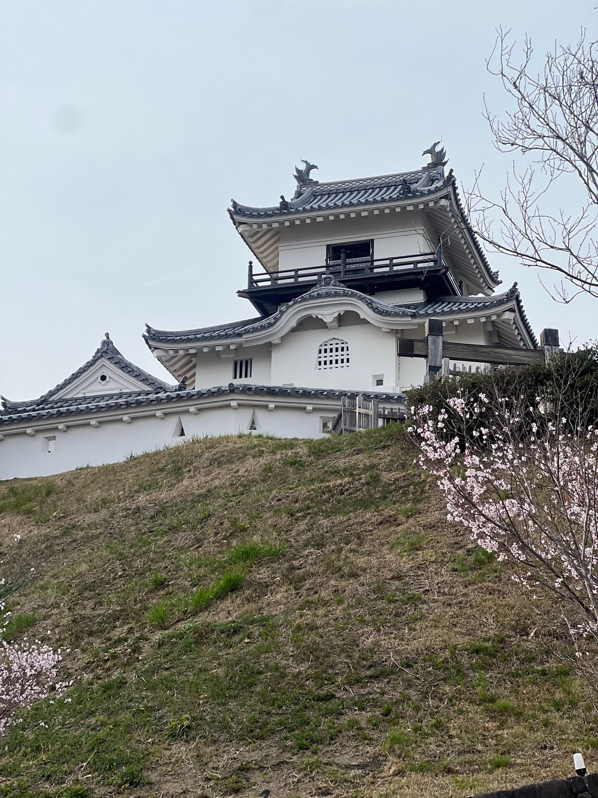 掛川城も行った。
百名城のうちの一つらしい。
子供が城スタンプを集めている...