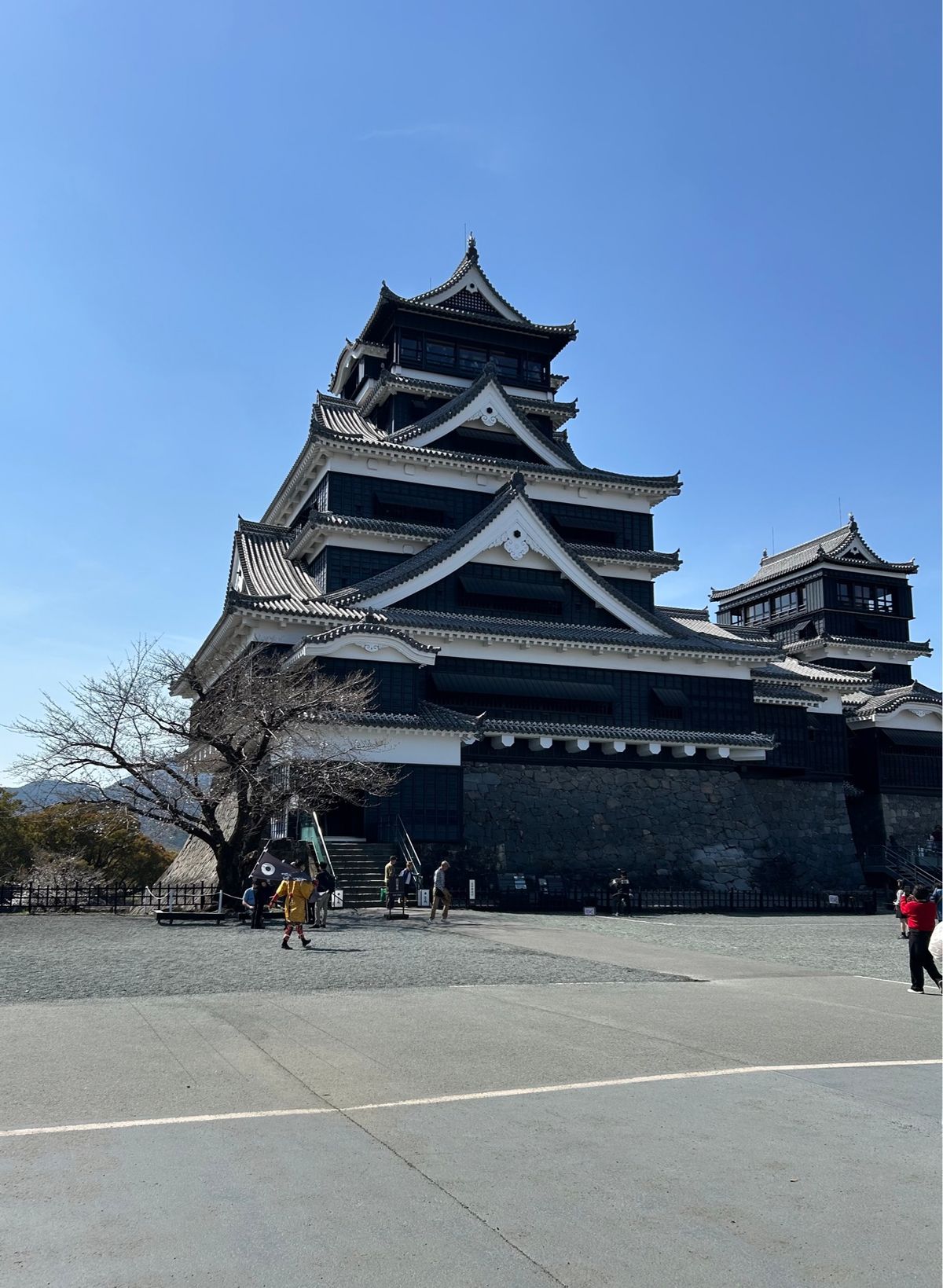 高千穂　⇄ 熊本　⇄ 島原