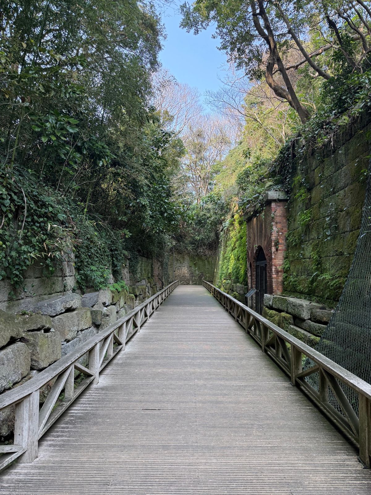 美味いものを食べるに限る