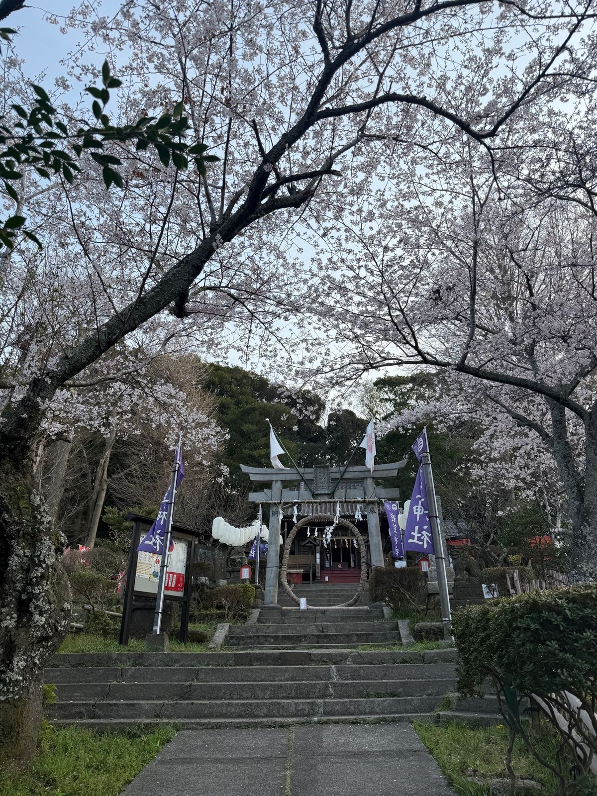 美味いものを食べるに限る
