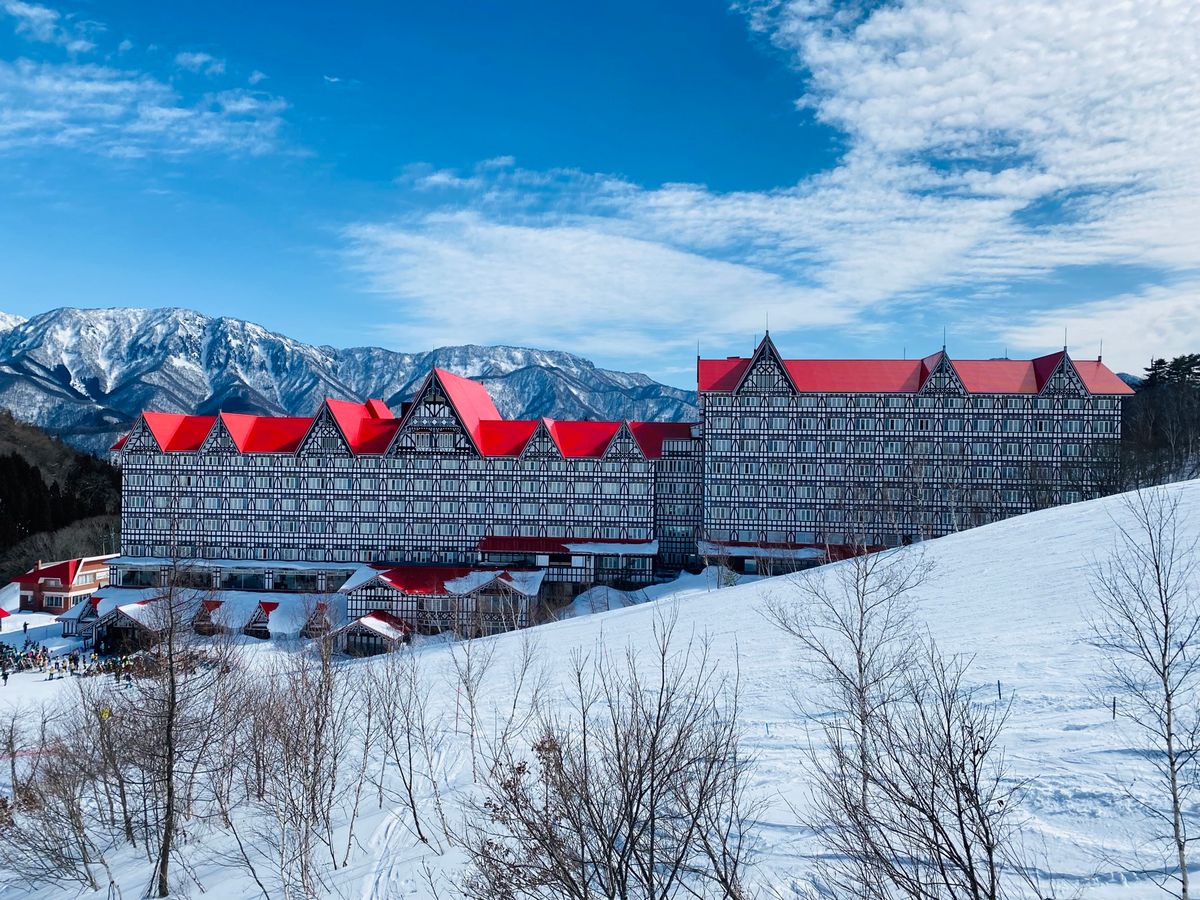 美味しい食事とビールも飲めて最高でした！