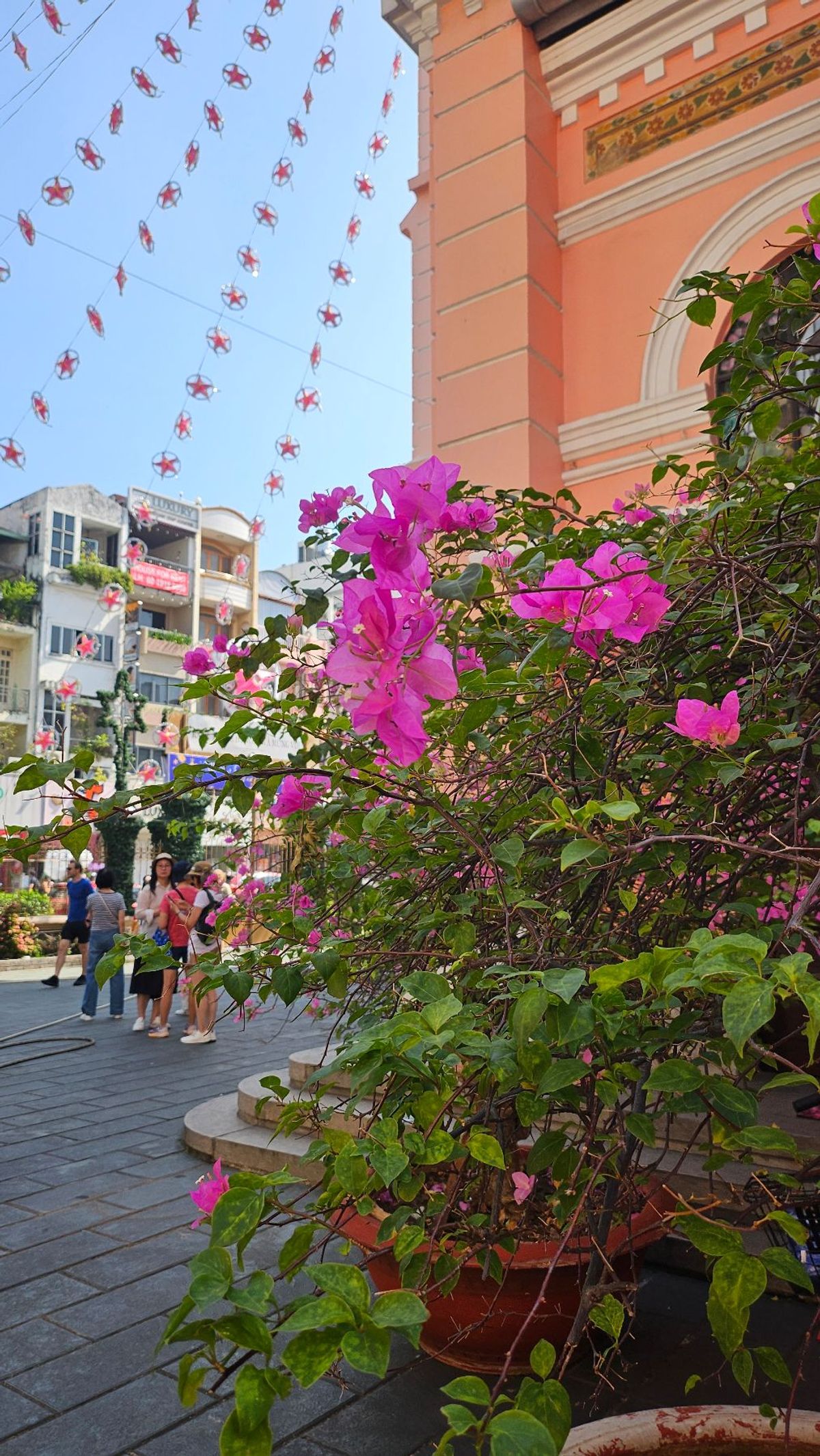 可愛いピンクの教会⛪
近くでアオザイをレンタルして写真を撮ったのが思い出📷✨