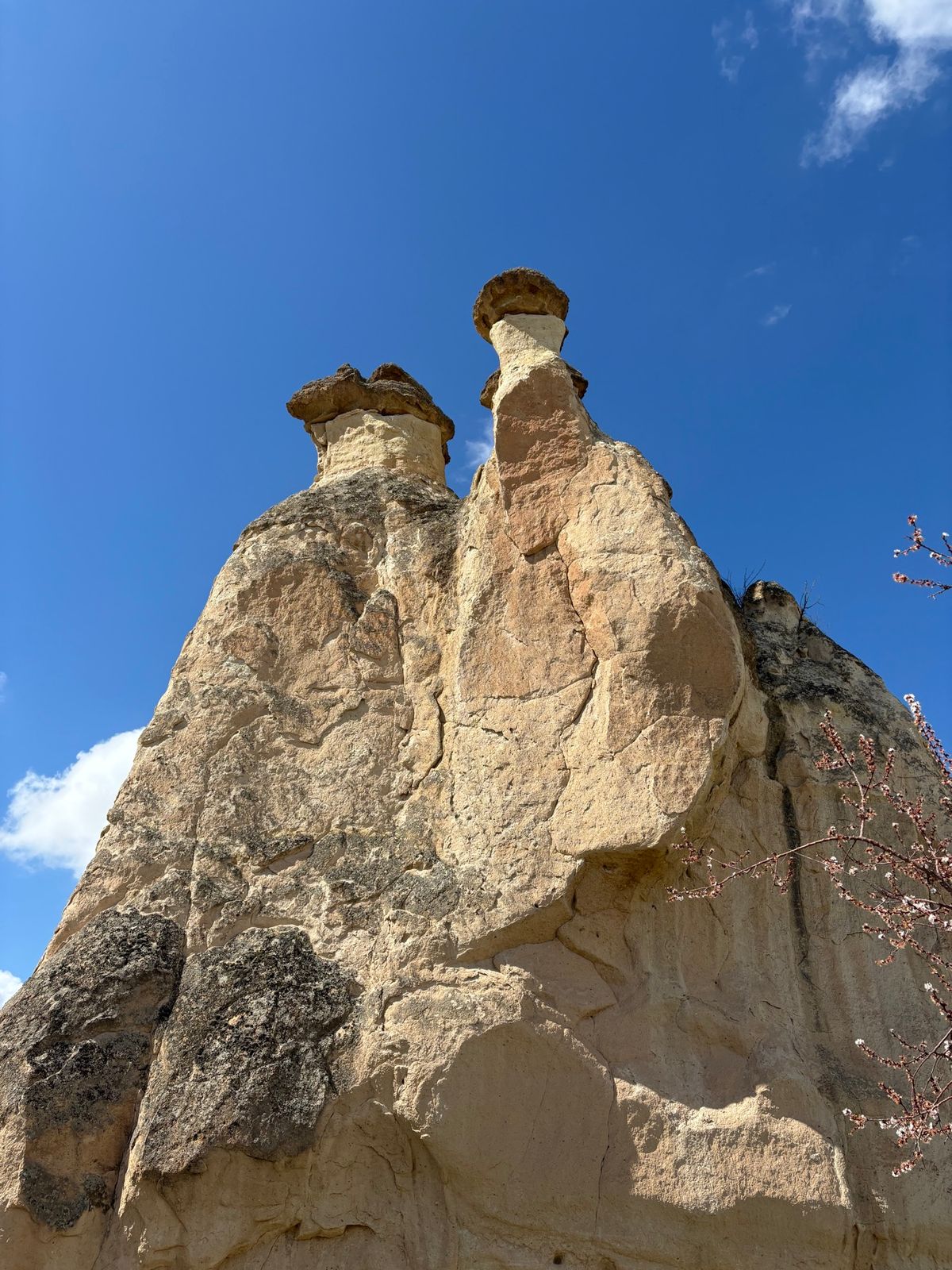 カッパドキア　Paşabağ Vadisi
