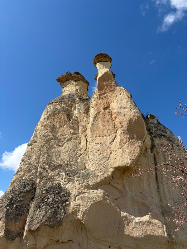 トルコ・イスタンブール「トルコ旅行」の写真：カッパドキア　Paşabağ Vadisi