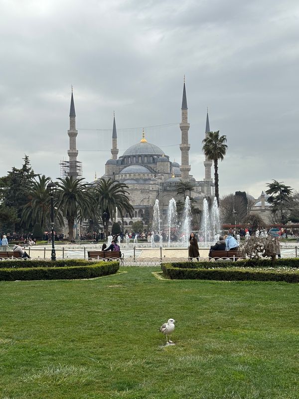 トルコ・イスタンブール「トルコ旅行」の写真：イスタンブール　ブルーモスク
中のタイル...