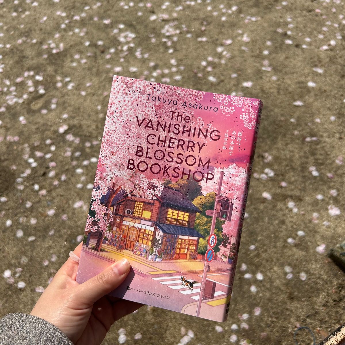 新幹線で熊本まで1時間⏱
今回のお供本📖´-