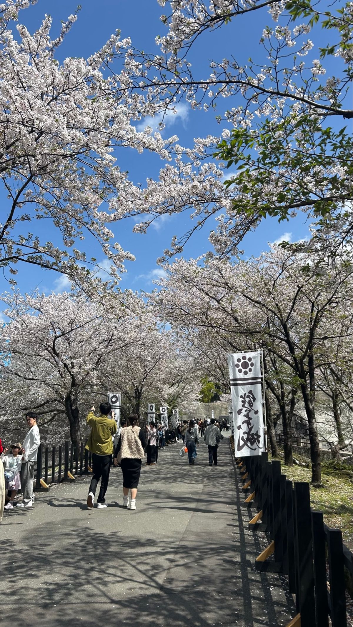 熊本城周辺🏯
うっとりうっとり🤍