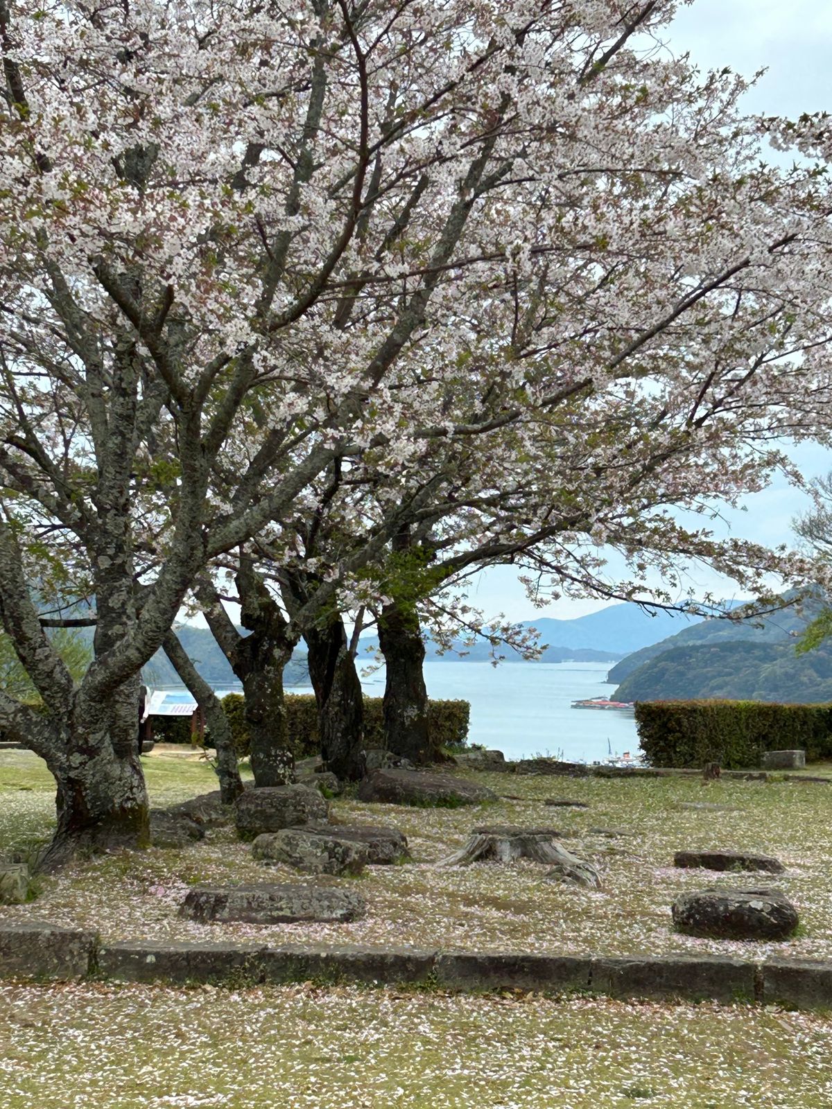 宇和島城