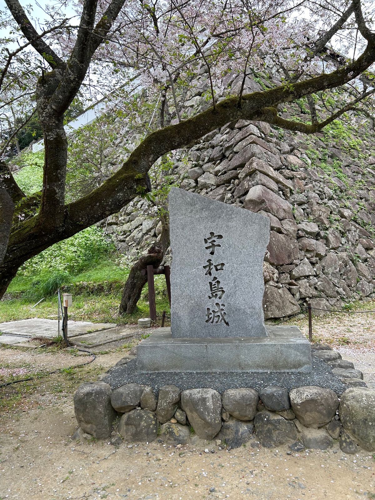 宇和島城