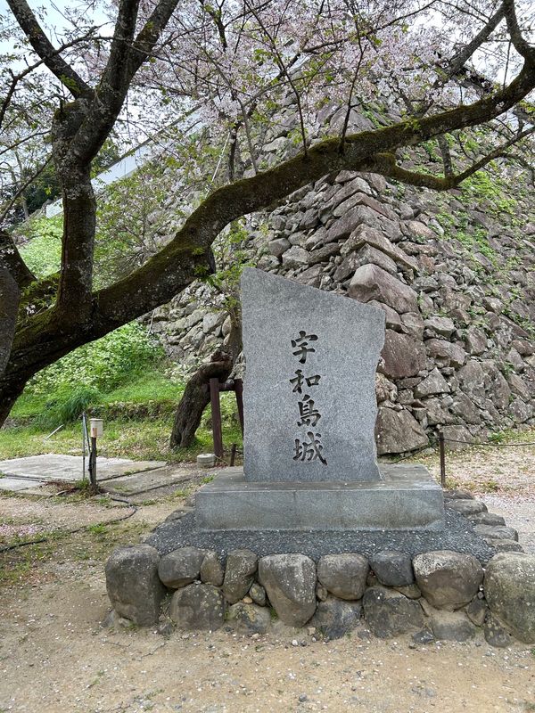 日本・徳島県「四国へ」の写真：宇和島城