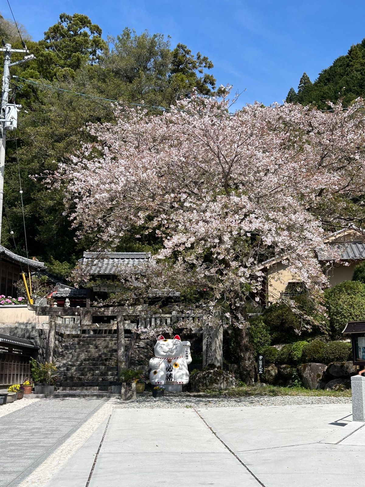 お松大権現