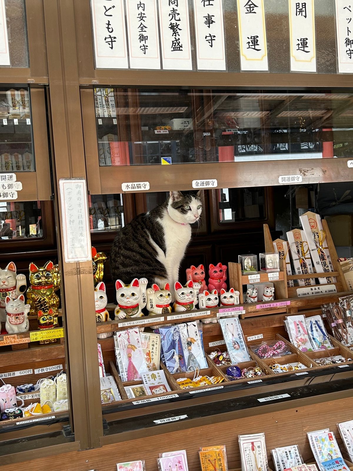 お松大権現