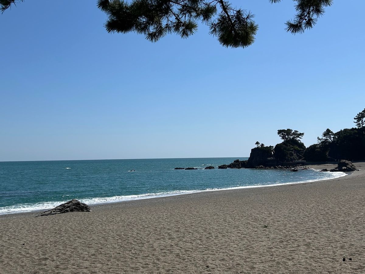 桂浜