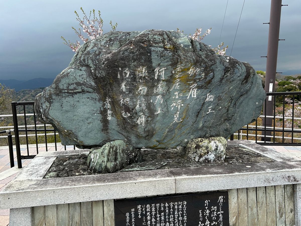 徳島市、眉山