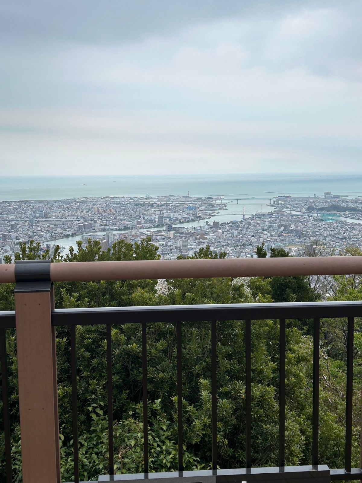 徳島市、眉山