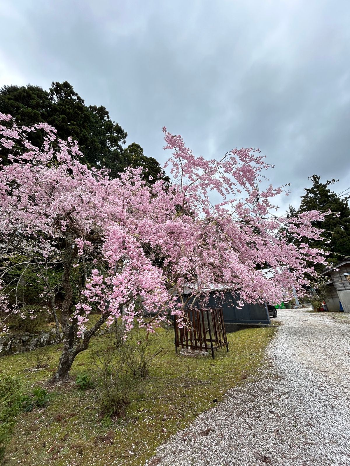 太龍寺