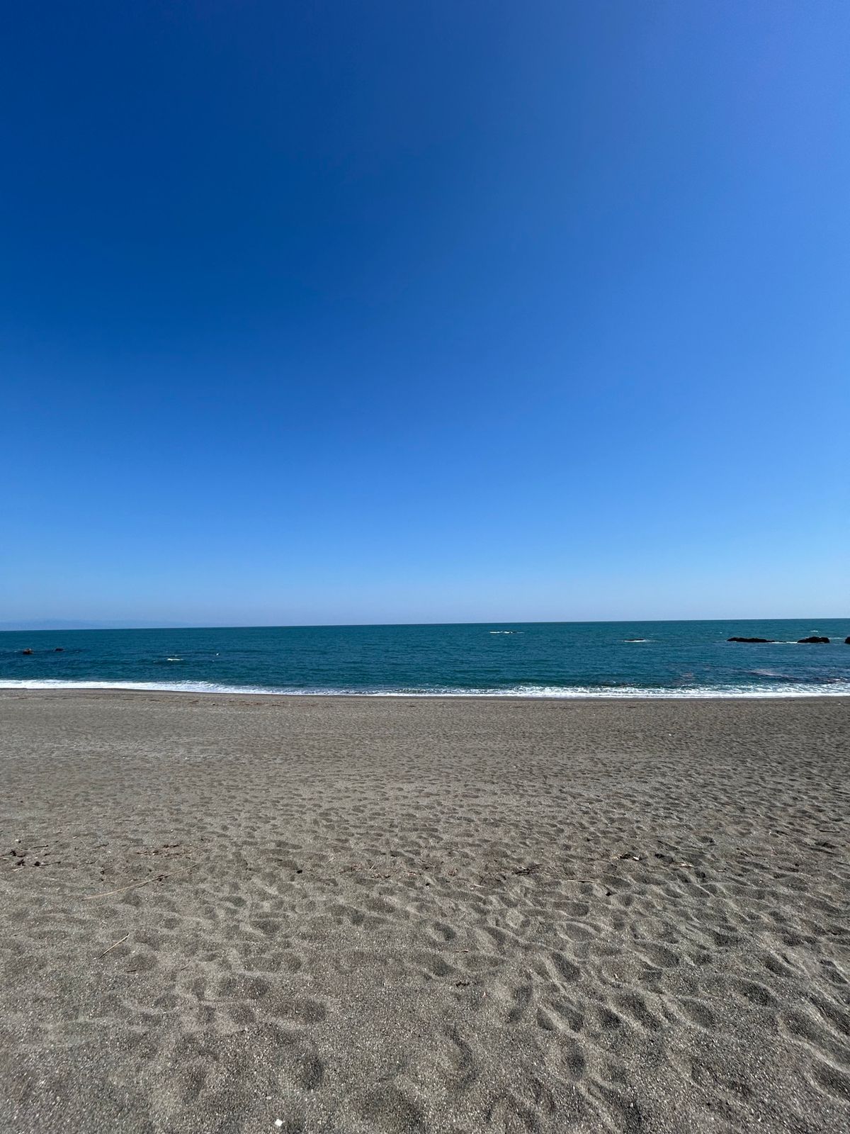 桂浜