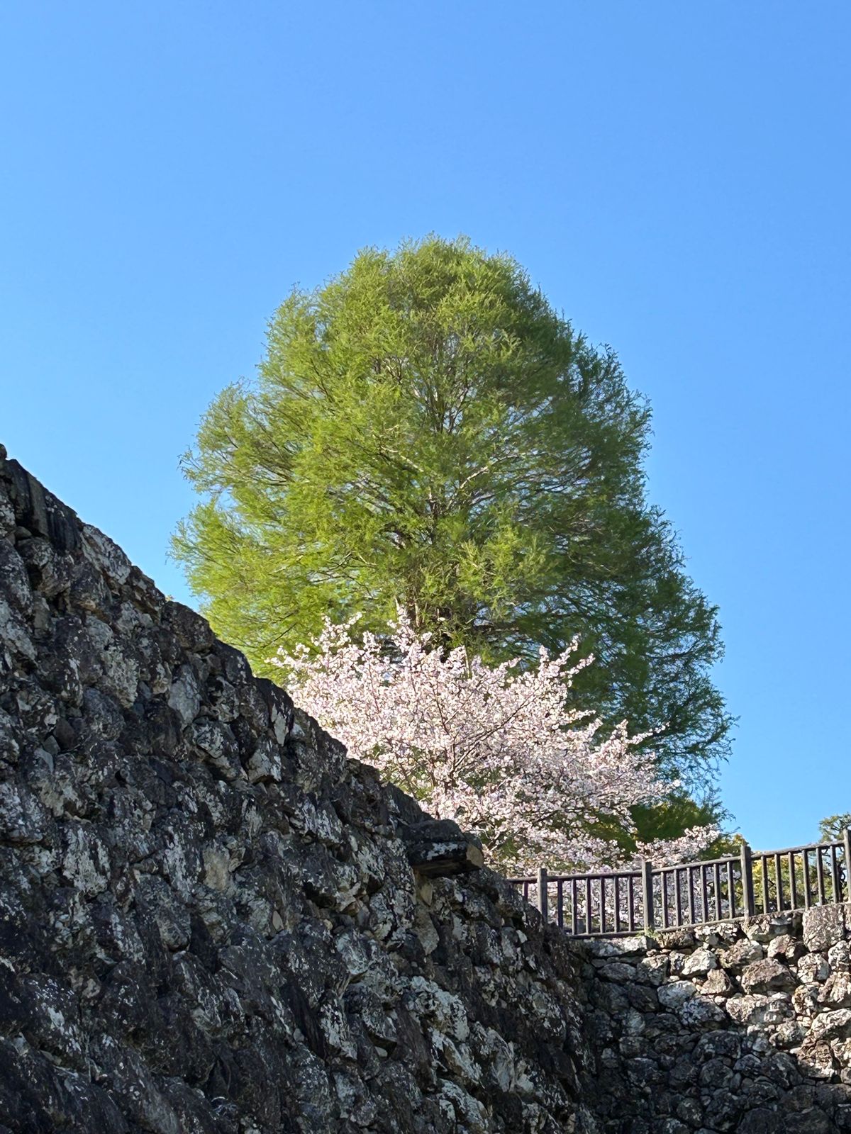 高知城