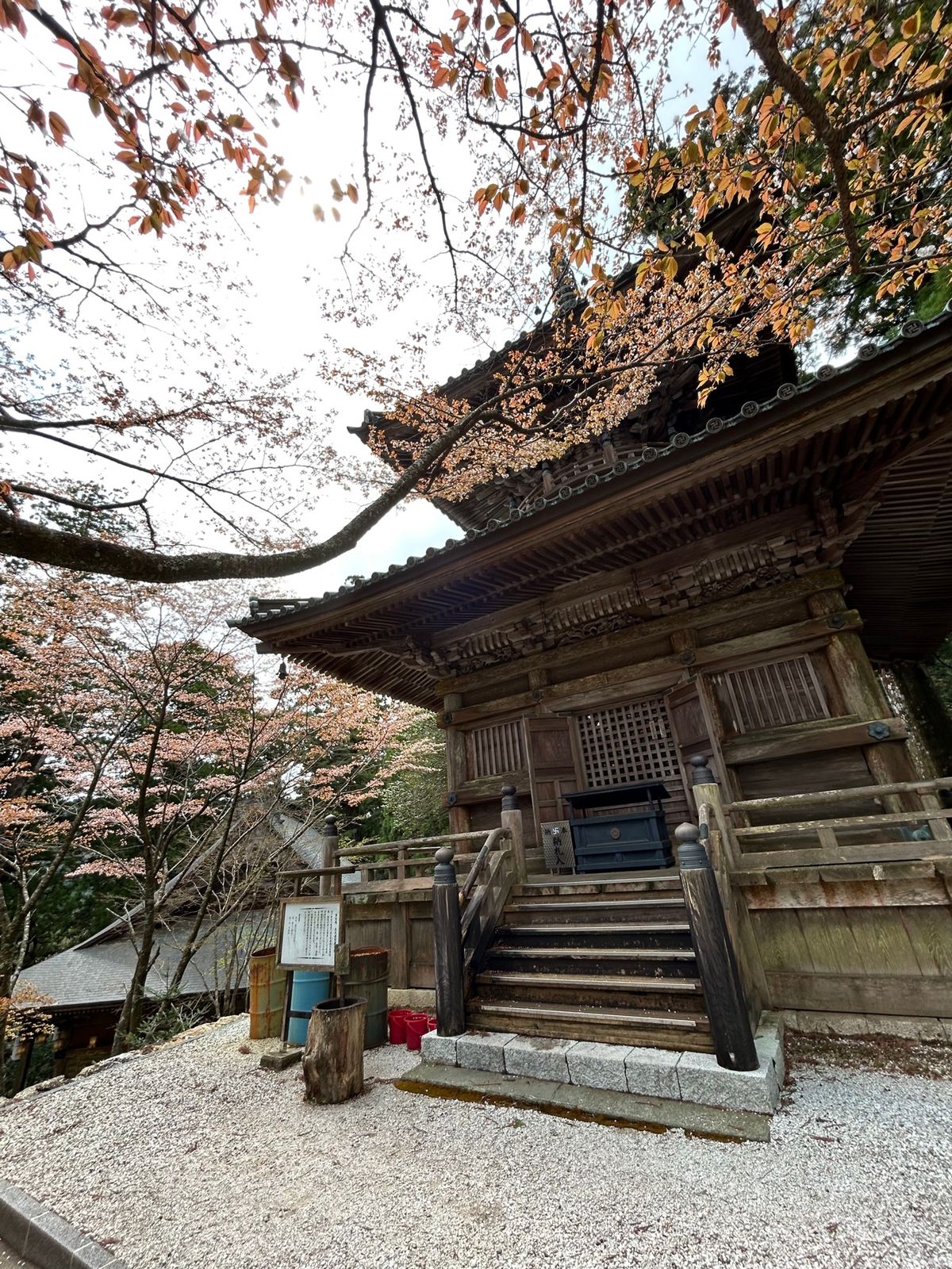 太龍寺