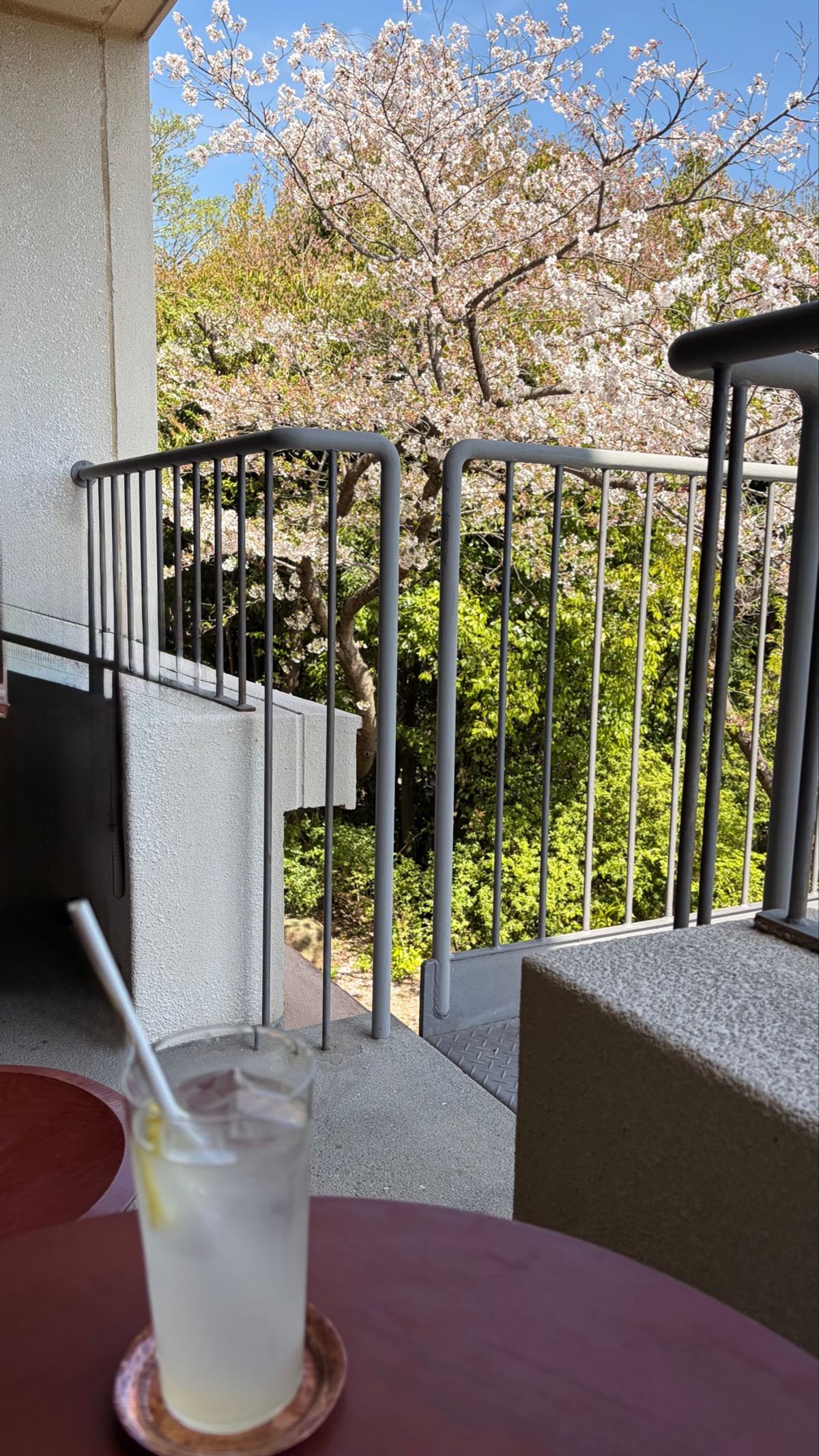 LOGへ
ここも前から行ってみたかったところ。
レモネード補給。
坂道沢山...