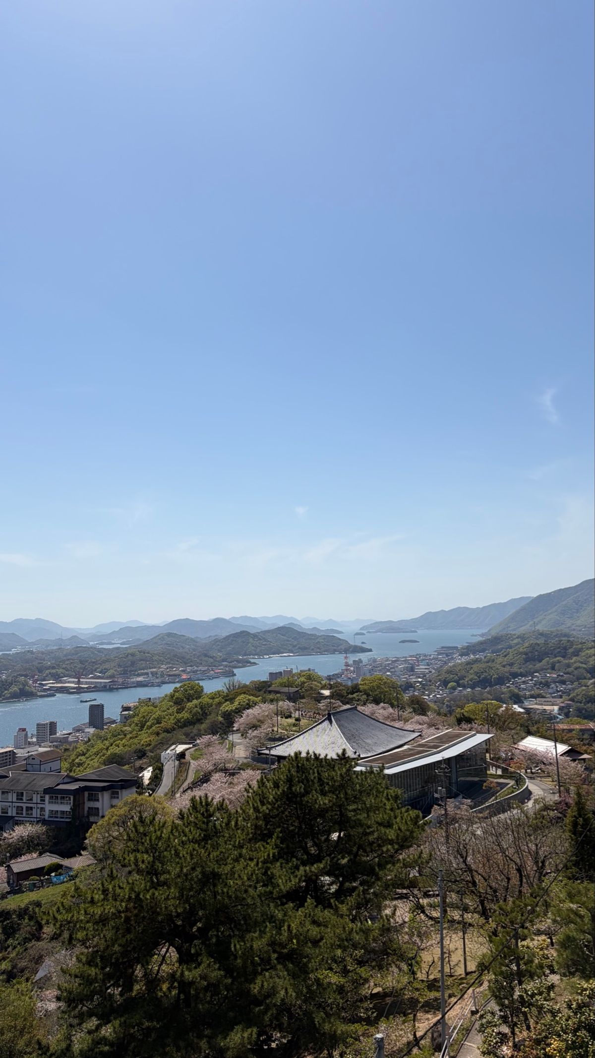 お気に入り桜たち
海辺でマルシェみたいなのやってたから人がすごく多かった〜！