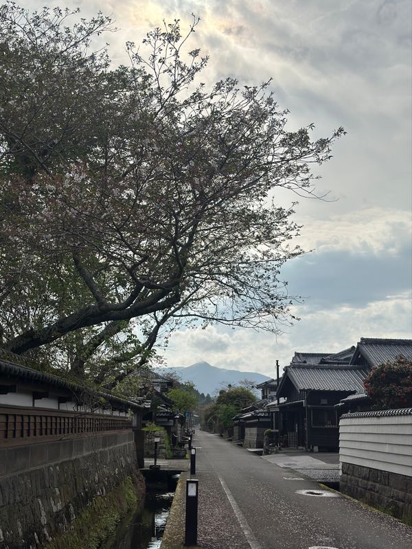 日本・宮崎県「宮崎　2026.04」の写真