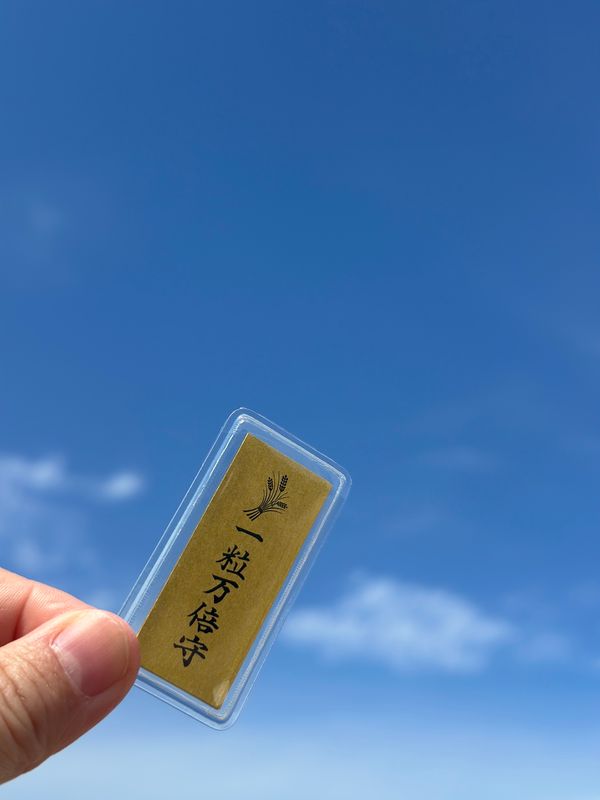 日本・宮崎県「宮崎　2026.04」の写真