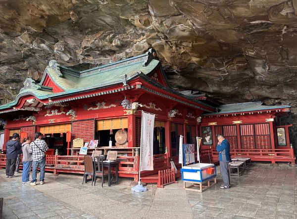 日本・宮崎県「宮崎　2026.04」の写真
