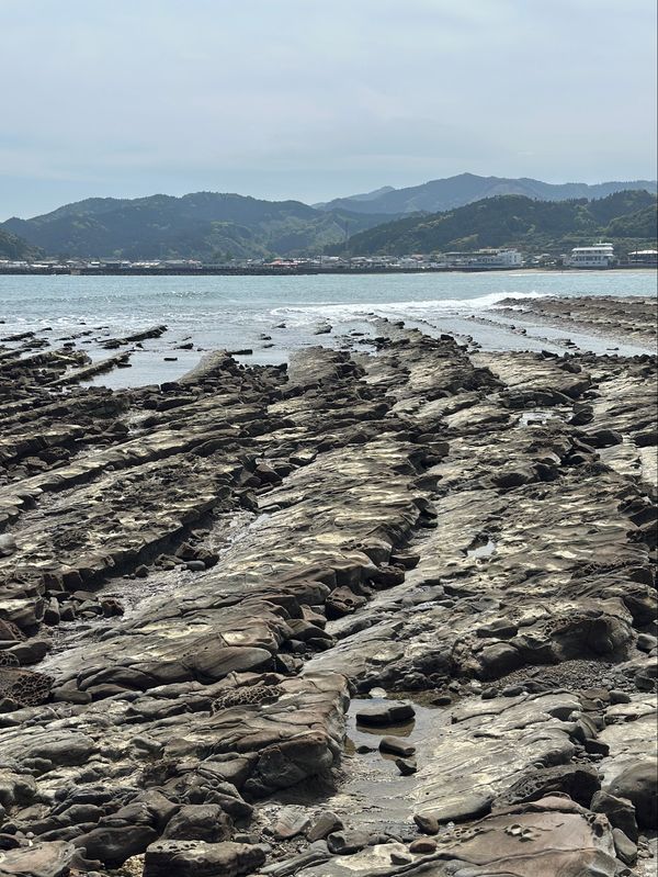 日本・宮崎県「宮崎　2026.04」の写真